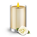 modern-yellow