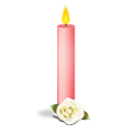 traditional-pink